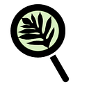 Seeqs Foundation logo