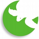 seeturtles.org icon