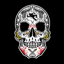 Southereastern Homicide Investigators Association Inc logo