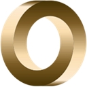 Selective Search Llc logo