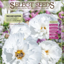 selectseeds.com logo