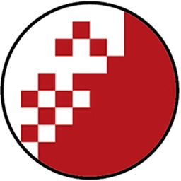 Selettra Automação e Robótica - logo