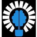 Selfful Maven Academy logo