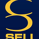 Seli manutenzioni generali srl logo