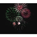 Selwyn Fireworks Charitable Trust logo