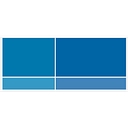 Selzer Gurvitch Rabin Wertheimer Polott & Obecny, P.C. logo