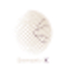 Semtrace logo