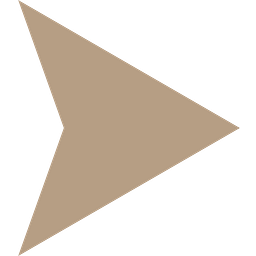 SendNow Logo
