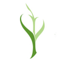 Seneca Diabetes Foundation logo