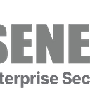 Senergy Electric, Inc logo
