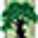 SENICAS OAK RIDGE INC