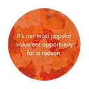 Senior Community Services logo