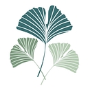 Senior Home Companions logo