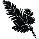 Senses Wines logo