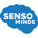 Senso Minds