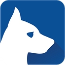 Dallas Seo Dogs logo