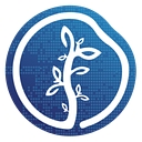 Favicon of Seo & Grow