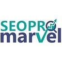 Favicon of Seo Pro Marvel
