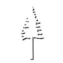 Sequoia Detox Centers logo