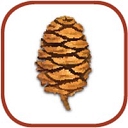 Sequoia Ecological Consulting