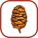Sequoia Ecological Consulting logo