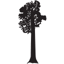 Sequoia Group logo