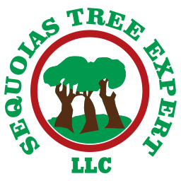 Sequoias Tree Expert, LLC logo