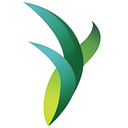 Seraf logo