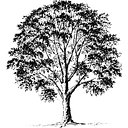 Serenbe Bed logo