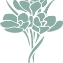 Serenity Medspa Llc logo
