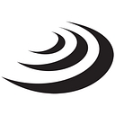 Serious Detecting logo