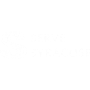 Serve Syracuse Inc logo
