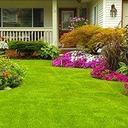 Service Specialists Lawn & Landscaping logo