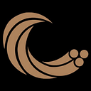 Service Wire logo