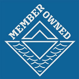 avatar logo