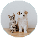 Severna Park Veterinary Hospital logo