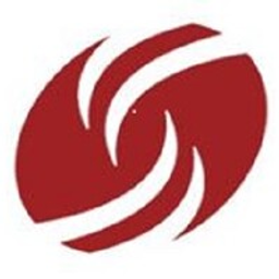 Dress For Success logo