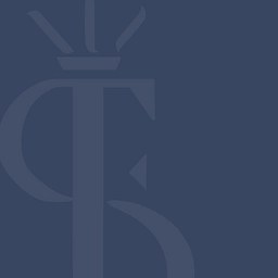 South Farnham Educational Trust logo