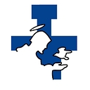 St. Francis High School Wheaton, Il logo
