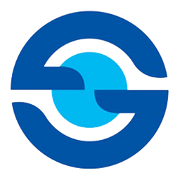 SHAH Group Consulting INC logo