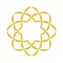 Sgi Usa logo