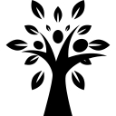 Shades Of Hope Treatment Center logo