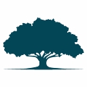 Shades Of Texas Nursery & Landscaping logo