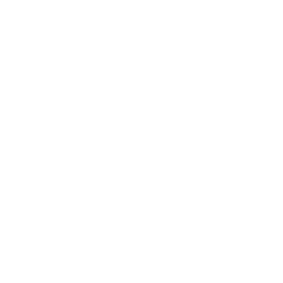 Shah and Sons Associates LLC logo