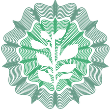 shajarpaksecurities.com