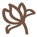 Shakti Store
