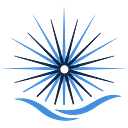 SHALLOW FORD FOUNDATION INC logo