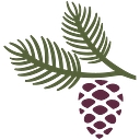 Pine Crest Health & Rehabilitation