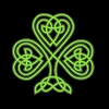 Shandon Court logo