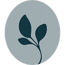 Favicon of Shannon Mattern